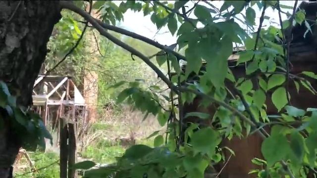 Ростов Великий!Соловьи! смотреть онлайн