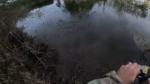 Первый жерех в этом году! Начало есть!