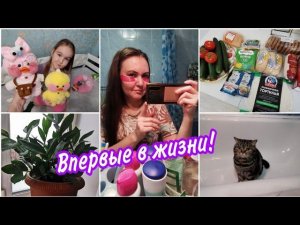 Использую это впервые в жизниНашумевшая игрушка за бешеные деньги♀️Любимый замиокулькас❤️