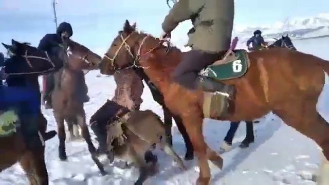 Быйылкы жыл 2023 эшек улак хит болот ко смотреть онлайн