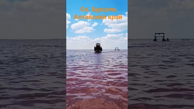 озеро Бурсоль, Алтайский край, #яровое#алтай#лето2023 смотреть онлайн