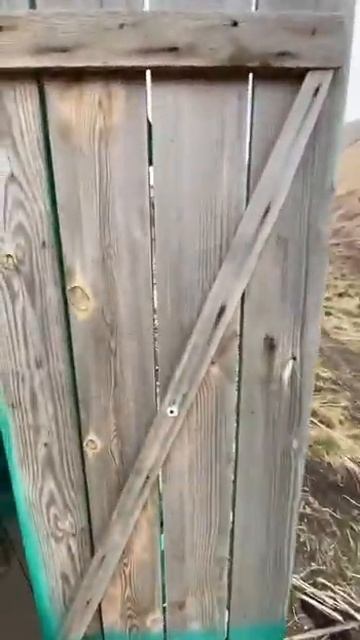 Что не так с туалетом в горах Кавказа ? смотреть онлайн