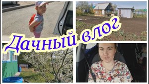 СЪЕЗДИЛИ НА ДАЧУ.ОТВЕЗЛИ КОШКУ НА СВОБОДУ. НАША ПРИРОДА.