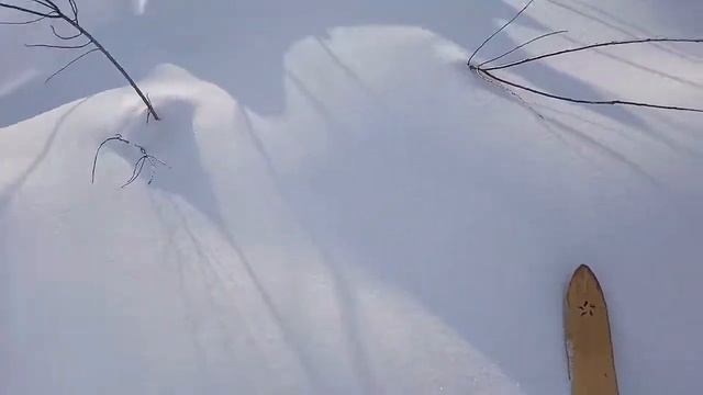 2019 02 10 Лыжная прогулка п. Дзержинский - г. Лысая - ур. Покровка - п. Дзержинский смотреть онлайн