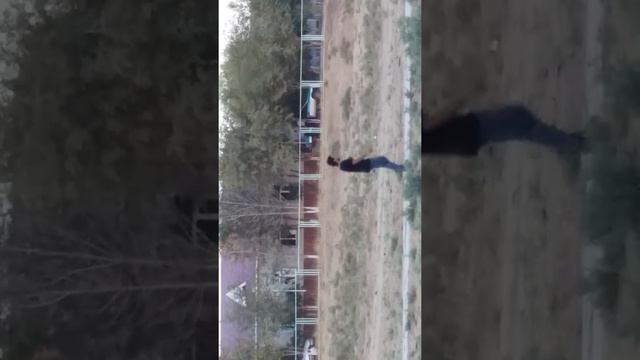 Экспертизы сарыагаш смотреть онлайн