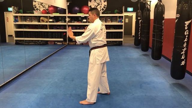 Tensho Kata (Side View) смотреть онлайн