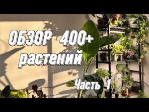 ОБЗОР 400+ растений | 1 часть