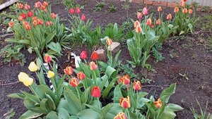 Один из апрельских дней