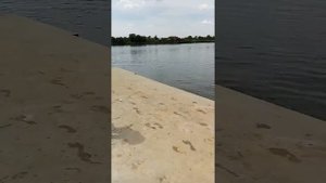 Сальск Пляж