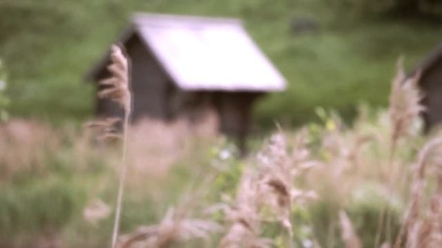 Бестиарий амбарник 1 смотреть онлайн
