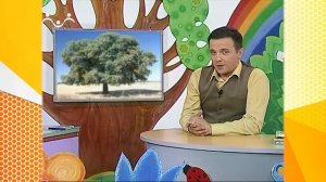 Школа Шишкиного Леса. Природоведение. Дуб