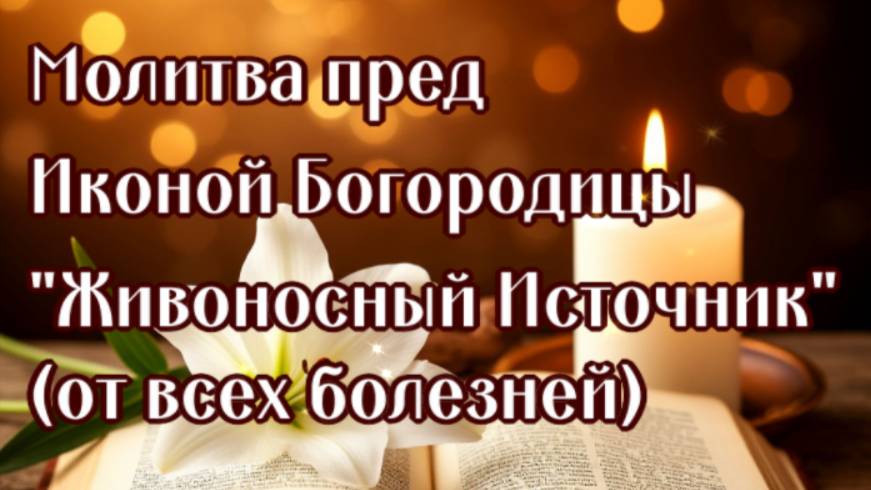 ОТ ГЛАЗНЫХ БОЛЕЗНЕЙ , ОПОРНО-ДВИГАТЕЛЬНОГО АППАРАТА пред Иконой Богородицы "Живоносный Источник"