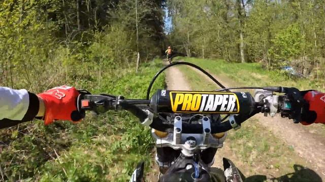 Лес поляны турслета Глобус смотреть онлайн