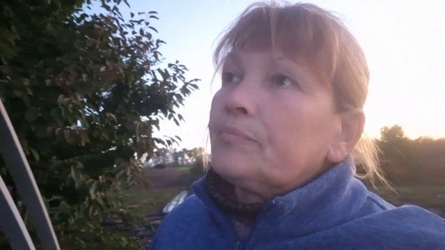 чи потрібно вкривати на зиму полуницю