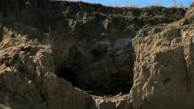 29 октября 2015 г. смотреть онлайн