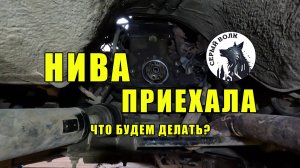 НИВА приехала....