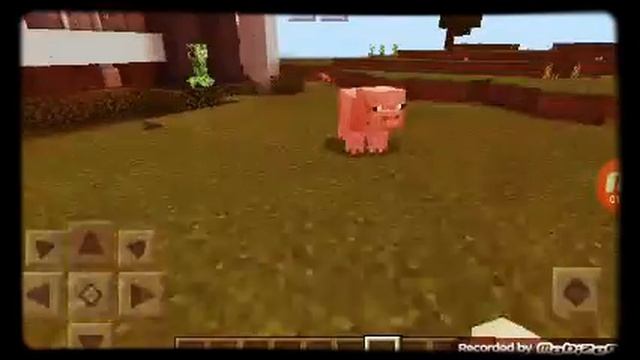 Лиса Элина Снежок, животные смотреть онлайн