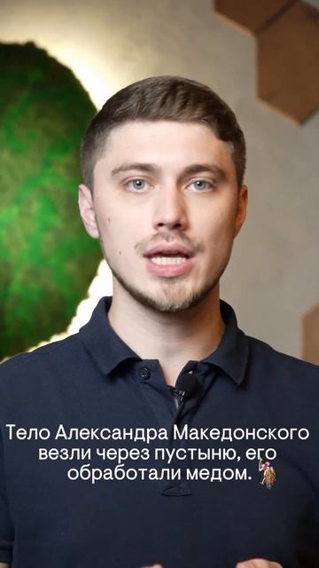 Мёд и прополис - отличные консерванты? смотреть онлайн