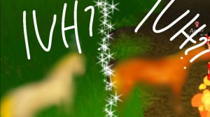 IUH'S WILD HORSE ISLAND?!