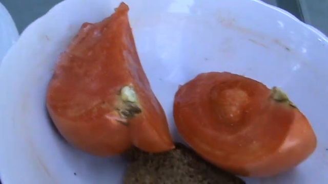 Мисхор 14 год 126 смотреть онлайн