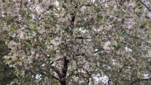 Ейск ! Наш весенний снег, утренние дела и огромный курник !