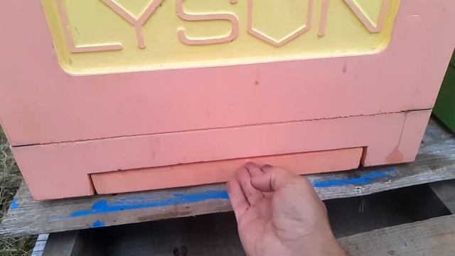 Гречиха зацвела. Вывез пчёл смотреть онлайн