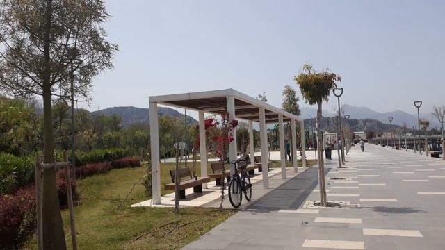 парк.кувшинки и пустая набережная смотреть онлайн