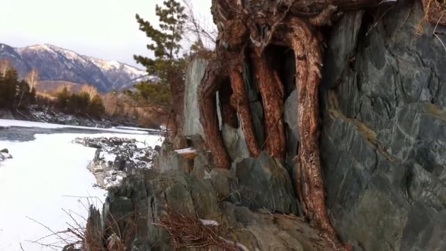 Жажда к жизни. смотреть онлайн