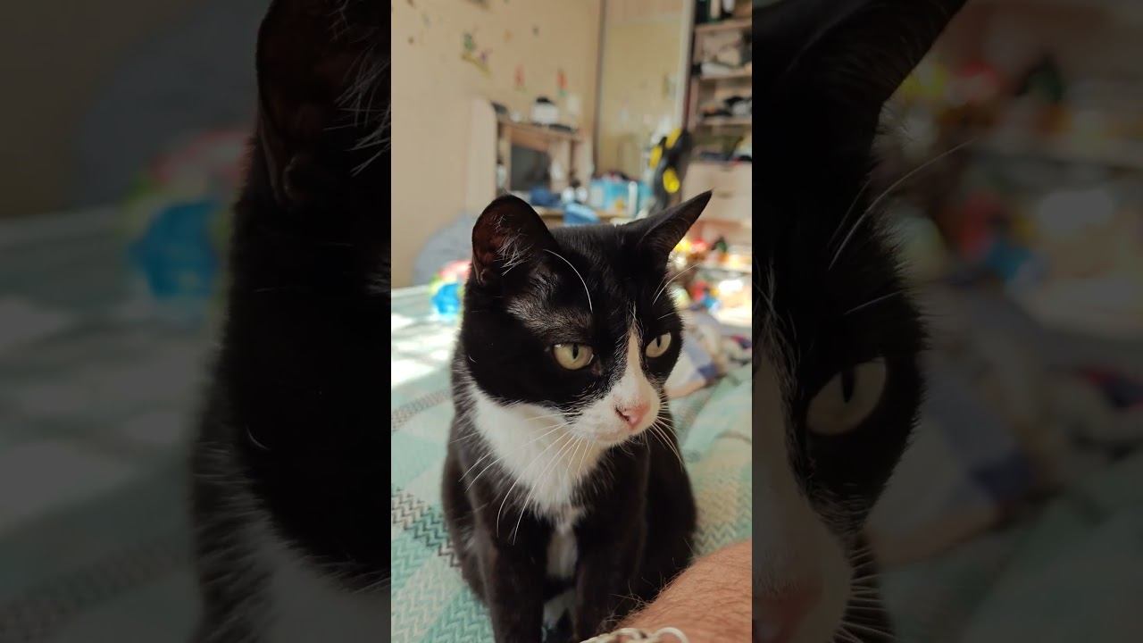 16 марта 2025 г. смотреть онлайн