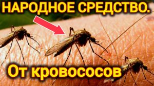 НАРОДНОЕ СРЕДСТВО ОТ КЛЕЩЕЙ И КОМАРОВ. И ПРОЧИХ КРОВОСОСОВ.