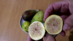 Инжир.  Оро Б Дегустация. 24