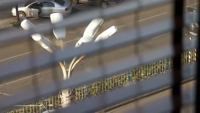 Свадебный ролик 20.08.11 Луганск смотреть онлайн