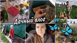 Влог про дачу. Увезли Джесси на свободу. Шашлыки Продолжаем отмечать день рождения