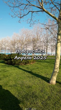 Новороссийск, апрель 2025