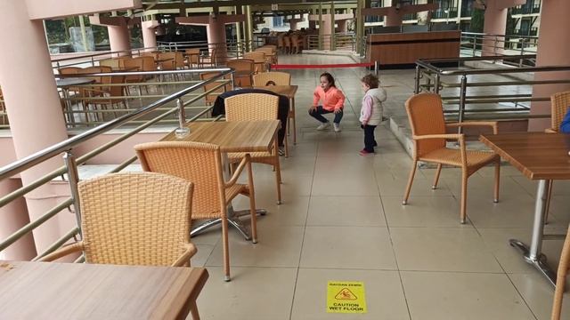 Турция, отель, covid, скукотища... гоняемся за кошками.....Türkiye, hotel(4) смотреть онлайн