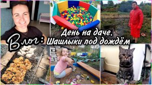 VLOG: Жарим шашлыки под дождём. Привезла сухой бассейн на дачу.Привет от Джесси и Аделины:)