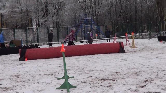 Эдди аджилити в красном селе 23.11.14 смотреть онлайн