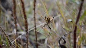 Рейтинг самых страшных городов-призраков Подмосковья