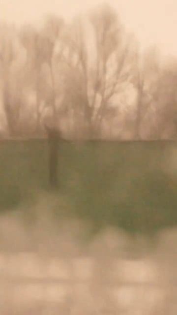 Константин Ступин, Алексей Ракитин - Лёд и ветер #константинступин #guitarrock #rockmusic #rock смотреть онлайн