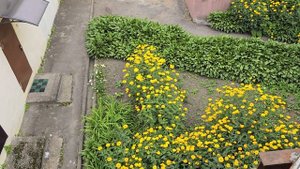 Обзор улицы Луговой, кинотеатр "Владивосток" в городе Владивосток. #БлогВладивосток