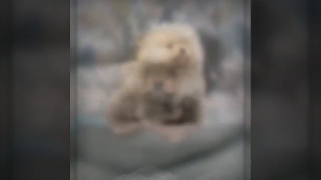 18 марта 2021 г. смотреть онлайн