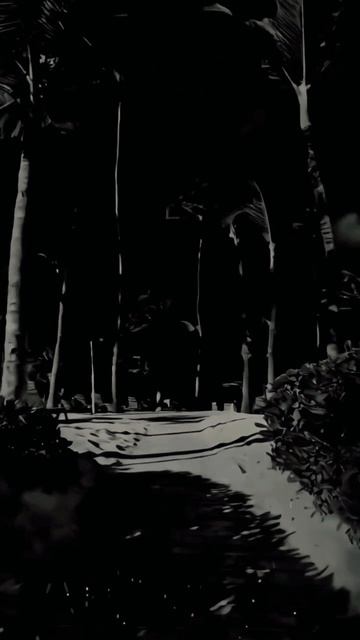 scene_output.mp4