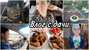 VLOG:Везём с собой кошку на дачу. А Джесси бояка оказывается! ШАШЛЫЧОК от Дамира. Отличный выходной!