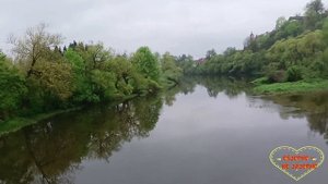 Колесниковы. Кому-что? Обзор влогов. 20 05 2023 Колесниковы