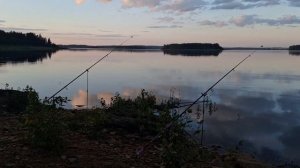 Рыбалка на леща.Озеро Чебаркуль.#рыбалка #fishing #природа #лето