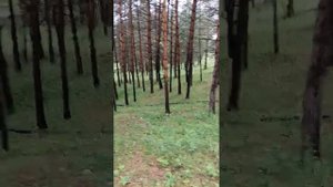 Курорт Дарасун. Ранее курорт Всесоюзного значения