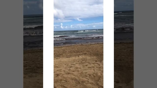 Ocean el Faro punta kana. Beach. Пляж