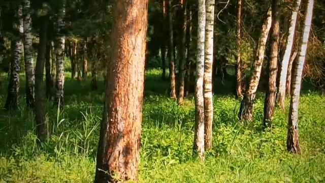 Озеро біля Лопатина смотреть онлайн