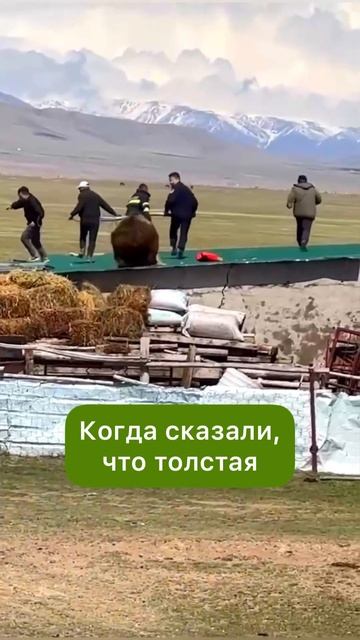 попробуй это сказать🥶 смотреть онлайн