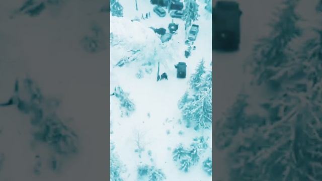 зима урал шунут 44